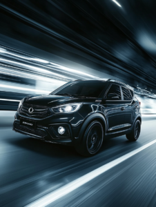 Набор для подкрасов купить по вин коду Ssangyong